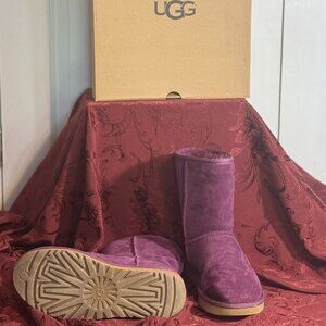 Limited Edition Purple UGGs Size 8 Super Great Condition!